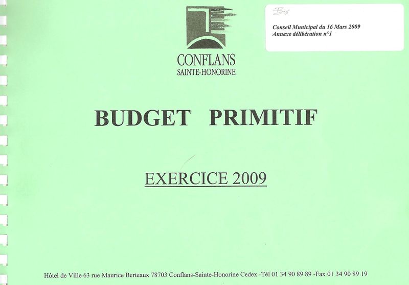 Page budget Primitif 2009 001