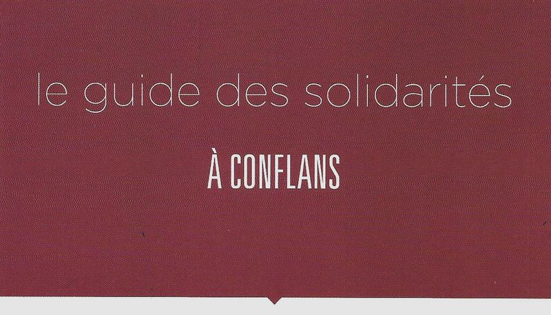 Guide 2013 des solidarités