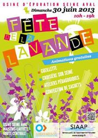 Fête de la lavande Maisons Laffitte 30 juin 2013