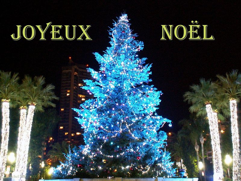 Noel 11 2014